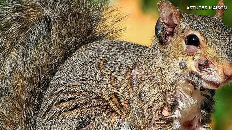 Image d'illustration © HOME TIPS