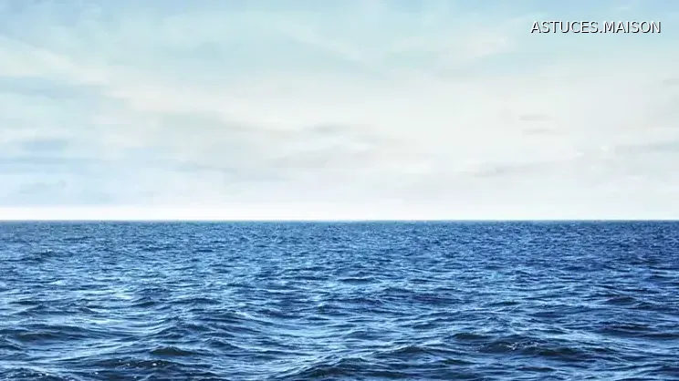 Image d'illustration © HOME TIPS