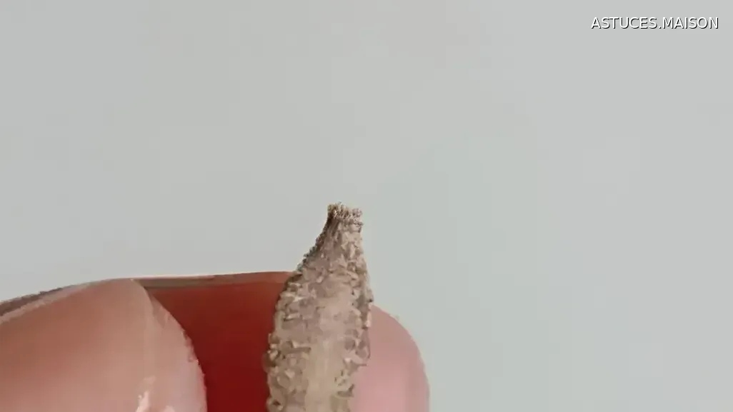 Image d'illustration © HOME TIPS