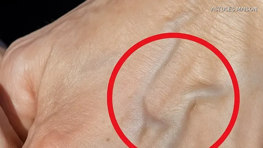 Image d'illustration © HOME TIPS