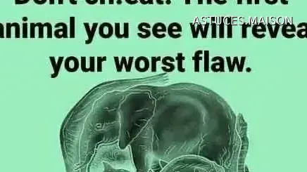 Image d'illustration © HOME TIPS