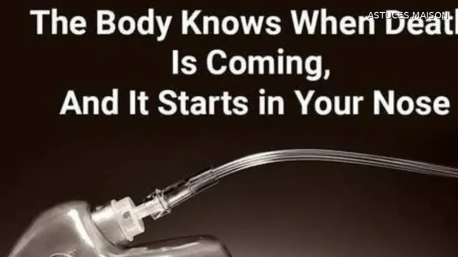 Image d'illustration © HOME TIPS