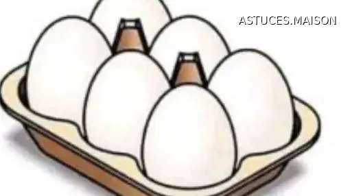 Image d'illustration © HOME TIPS